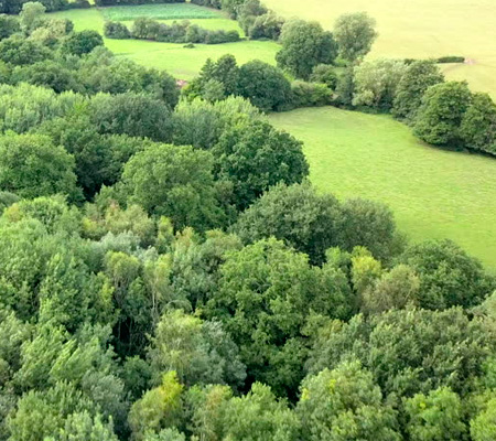 vioklimatiki-arxitektoniki